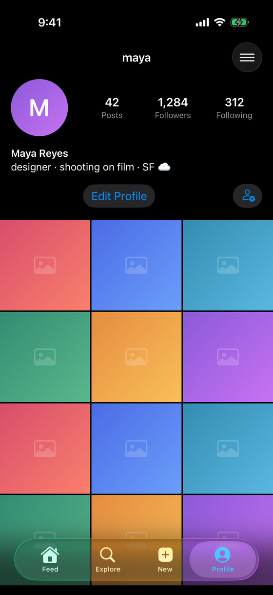 Snapgram profile — avatar, counts, bio, and post grid